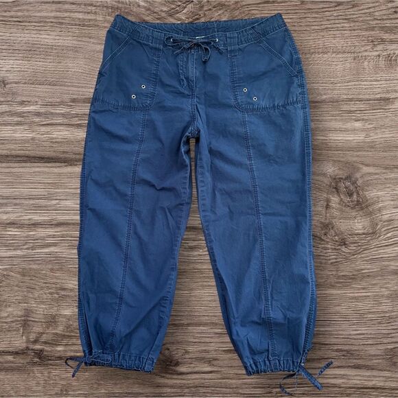 Trendy Size 6 Blue Harem Cropped Drawstring Pants Preowned French Laundry Sport - Picture 1 of 6